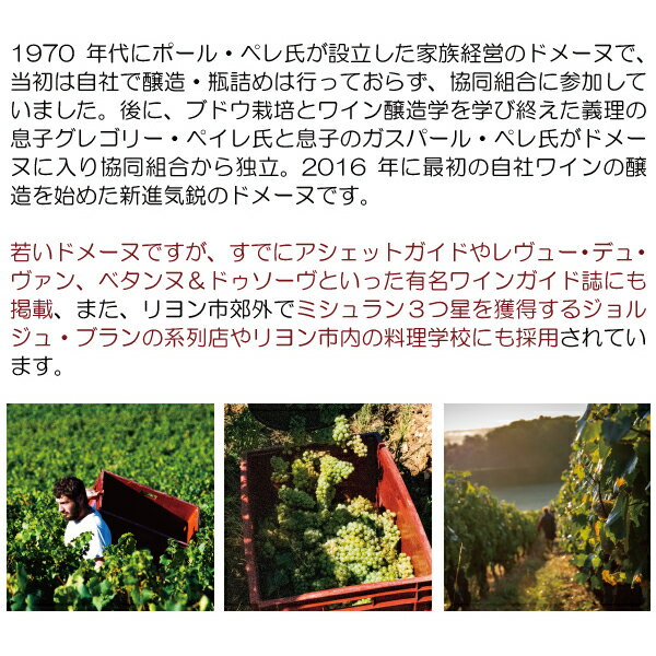 よりどり6本で送料無料2019 モンタニー プルミエ クリュ レ シャニオ 750ml ドメー...