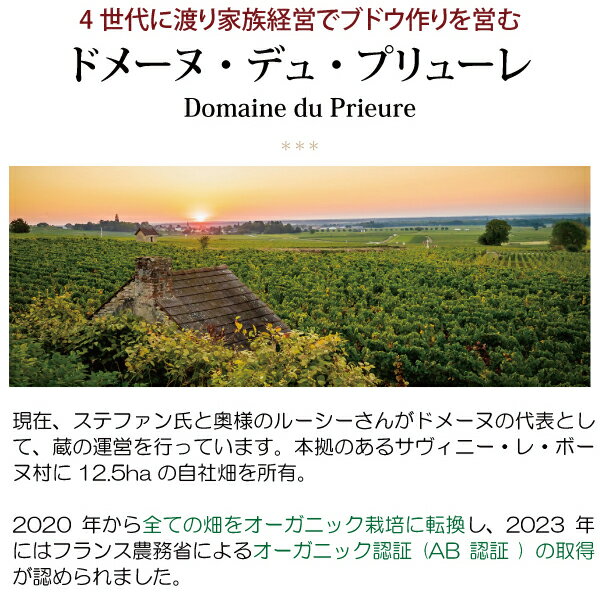 よりどり6本で送料無料[2023] サヴィニー レ ボーヌ ルージュ ヴィエイユ ヴィーニ...