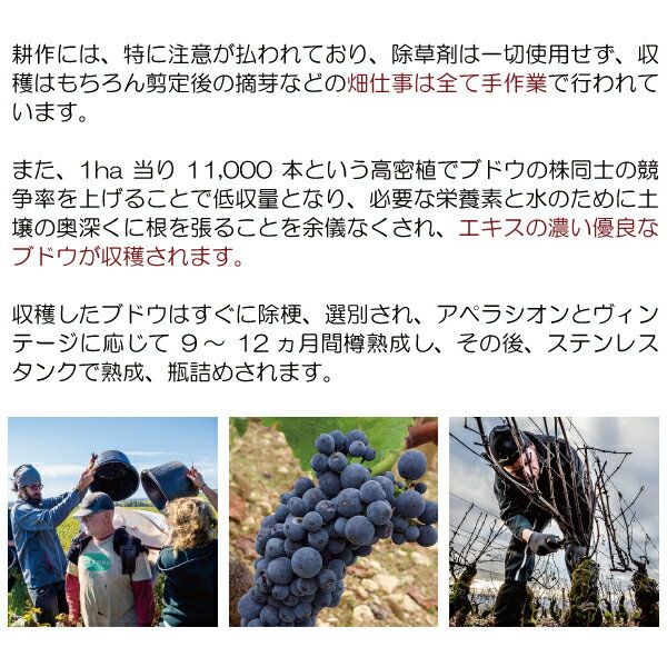 よりどり6本で送料無料[2023] サヴィニー レ ボーヌ ルージュ ヴィエイユ ヴィーニ...