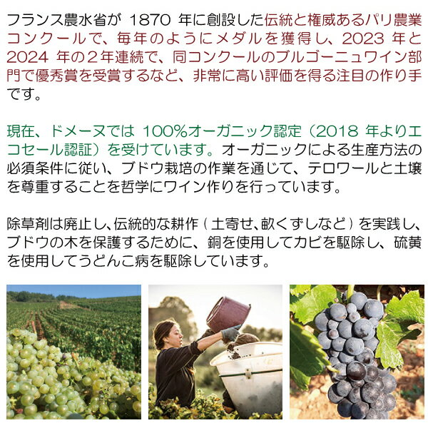 【ショップ・オブ・ザ・イヤー2022受賞店舗】【よりどり6本で送料無料】