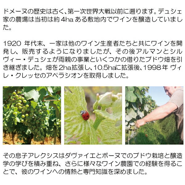 よりどり6本で送料無料[2022] マコン ヴィラージュ 750ml ル シェ デュシェ(ブルゴ...