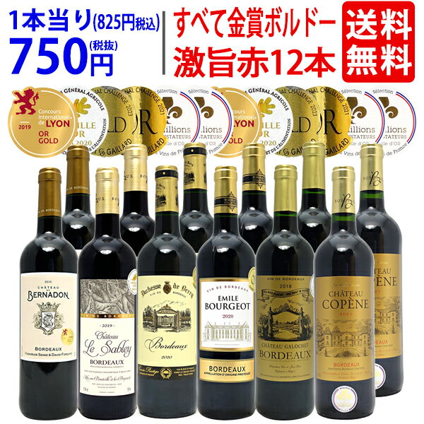 ワイン ワインセットすべて金賞フランス名産地ボルドー激旨赤12本セット 送料無料 6種類各2本 飲み比べセット ギフト ^W0DI71SE^