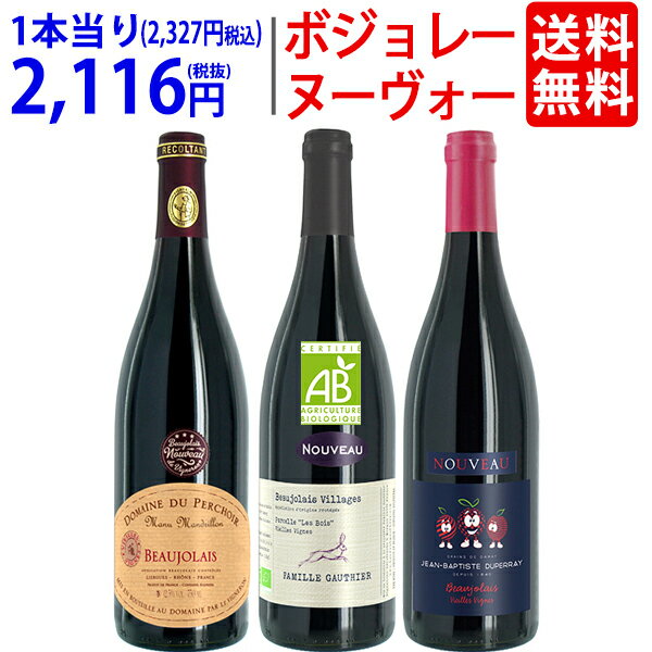 WA 送料無料 2024 ボジョレー ヌーヴォー 3本ワインセット (赤3本) 家族経営のドメーヌもの 航空便 ^W03NE0SE^