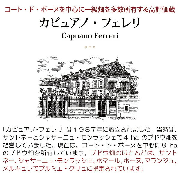 よりどり6本で送料無料[2022] シャサーニュ モンラッシェ ブラン プルミエ クリュ ...