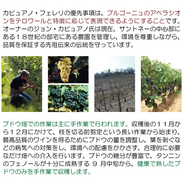 よりどり6本で送料無料[2022] シャサーニュ モンラッシェ ブラン プルミエ クリュ ...