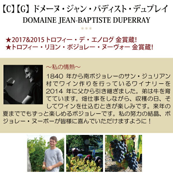 G [2025] �ܥ���졼 �̡������� V.V. ���� 750ml �ɥ᡼�� ����� �Хǥ����� �ǥ�ץ쥤 ��Ҷ��آ�٥�ȥ�� �ǥ�ץ쥤 ���� �磻�� �ɸ� ���� ^B0DBBZ25^