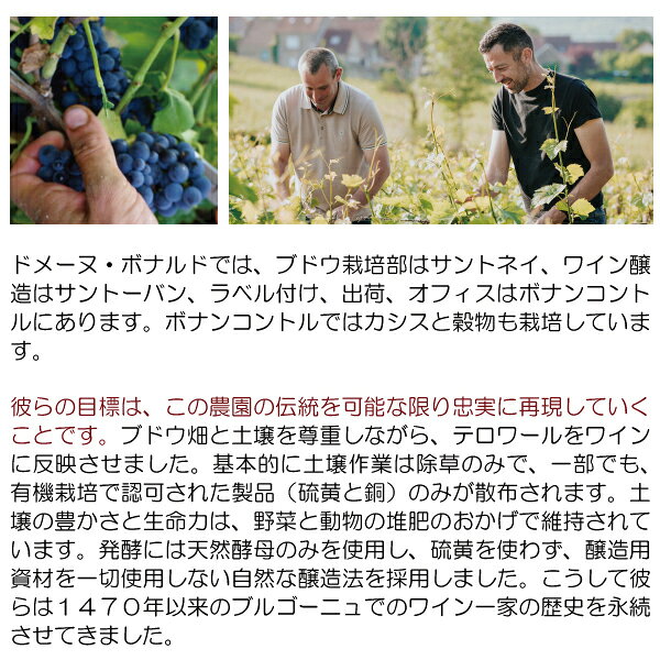 よりどり6本で送料無料[2022] ブルゴーニュ アリゴテ スー ル シュマン ド ボーヌ 750ml ドメーヌ ボナルド ペール エ フィス(ブルゴーニュ フランス)白ワイン コク辛口 ワイン ^B0ONSB22^ veritas-10061635 ヴェリタス〜輸入直販ワイン専門店 サンプル画像3