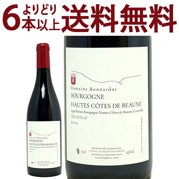 ɤ6ܤ̵[2022] ֥르˥    ܡ 롼 塼 ٥ 750ml ɥ᡼ ܥʥ ڡ  ե(֥...