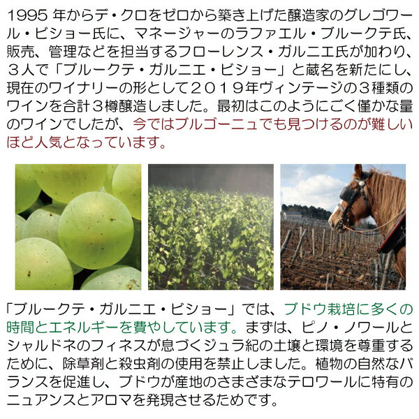 よりどり6本で送料無料[2021] モレ サン ドニ プルミエ クリュ 750ml ブルクーテ ...