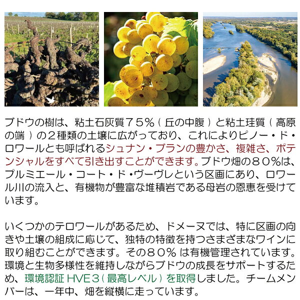 よりどり6本で送料無料[2023] ヴーヴレ ブラン セック クー ド シレックス 750ml ...