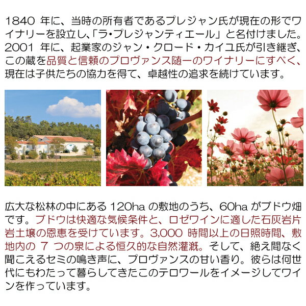 ���ɤ�6�ܤ�����̵��[2023] ����ȡ� �� �ץ쥸���ƥ������� ������� �ե��� ���� 750ml (AOC���ȡ� �������� ���� �ץ������� �ե��)�����磻�� �����ɸ� ^D0PGFG23^