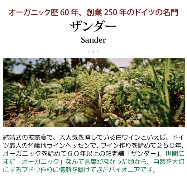 【ショップ・オブ・ザ・イヤー2022受賞店舗】【よりどり6本で送料無料】