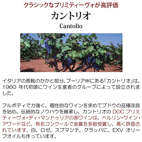 よりどり6本で送料無料[2022] クレオニュモス フィアーノ デル サレント IGP 750ml...
