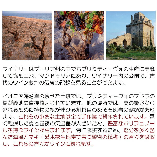 【ショップ・オブ・ザ・イヤー2022受賞店舗】