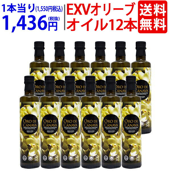 ○ 送料無料 エクストラ バージン オリーブ オイル 500ml×12本 瓶 オロ デ カナヴァ (エクストラ ヴァー..