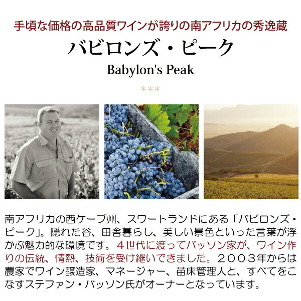 よりどり6本で送料無料[2021] エリ シュナン ブラン 750ml バビロンズ ピーク(南ア...