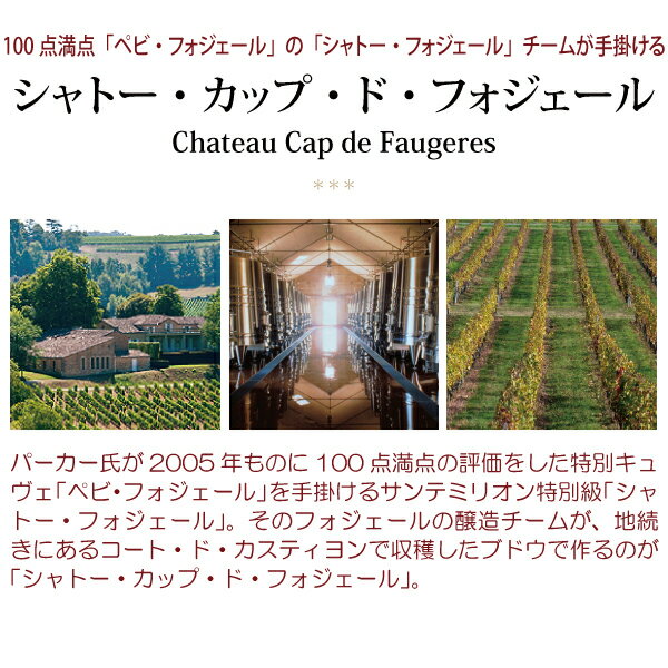 [2014] シャトー カップ ド フォジェール フォージェール 750ml (コート ド カステ...