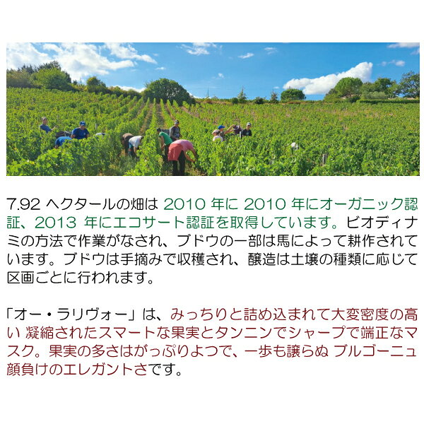 [2016] シャトー オー ラリヴォー BIO 750ml (フロンサック ボルドー フランス)赤ワイン コク辛口 ワイン ^ANHL0116^ veritas-10055370 ヴェリタス〜輸入直販ワイン専門店 サンプル画像3
