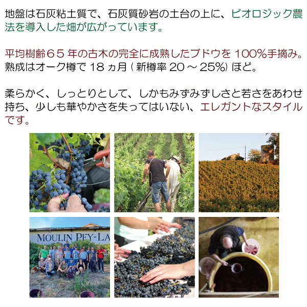 [2008] シャトー ムーラン ペイ ラブリー 750ml (カノン フロンサック ボルドー フ...