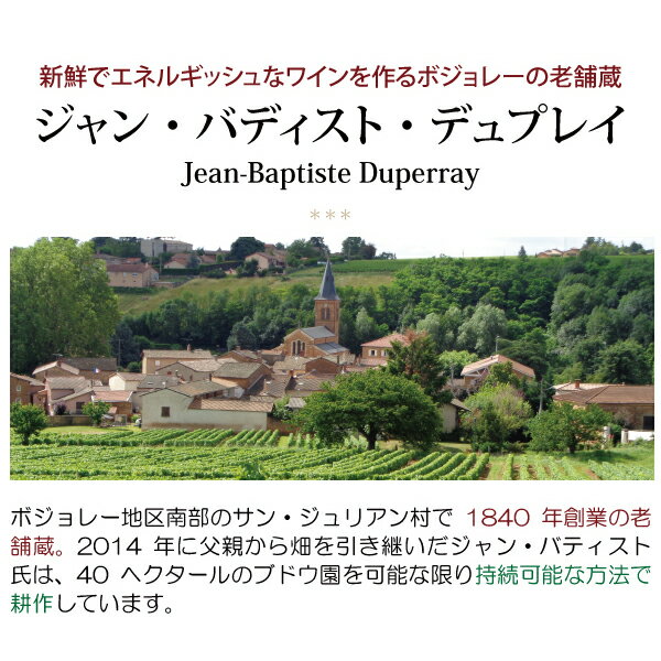 よりどり6本で送料無料[2021] コトー ブルギニョン ブラン シャルドネ シュール カ...