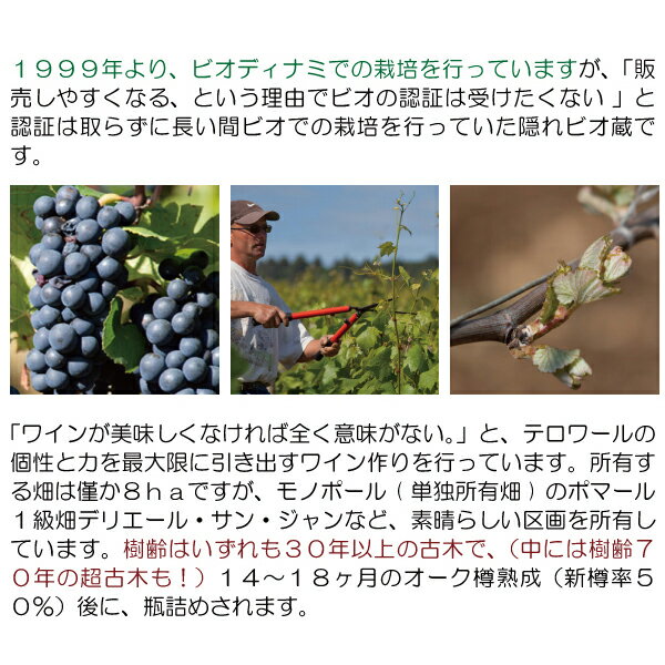 よりどり6本で送料無料[2022] サヴィニー レ ボーヌ 1級畑 オー クルー 750ml ジョ...