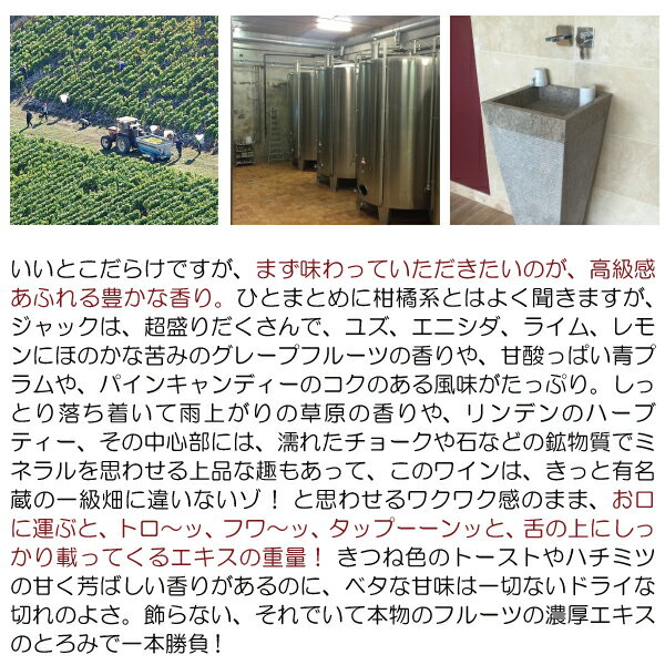 [2023] ����֥� 750ml ����å� �֥륮�˥�� (�֥르���˥� �ե��)��磻�� �����ɸ� �磻�� ^B0JQCH23^