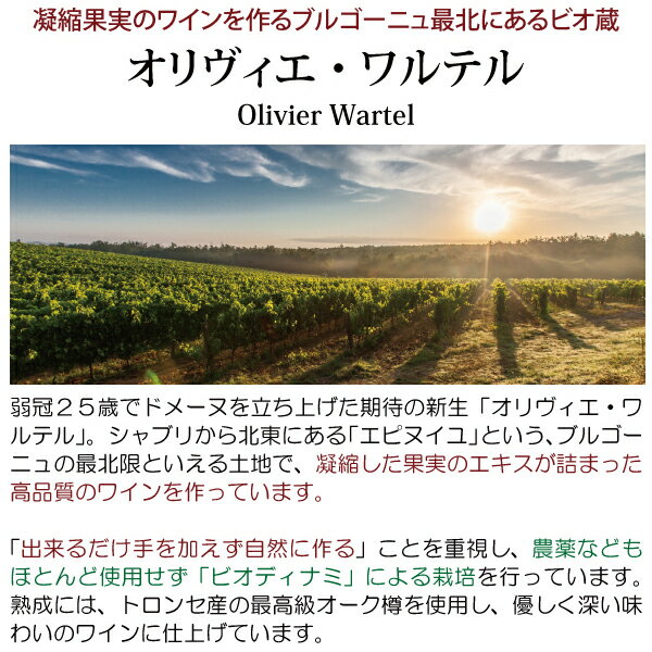 よりどり6本で送料無料[2022] シャブリ プルミエ クリュ ヴォー ド ヴェイ 750ml ...