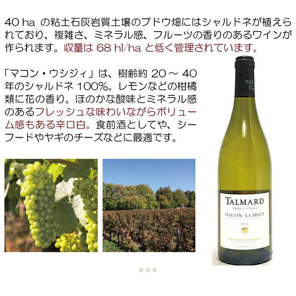 よりどり6本で送料無料[2022] マコン ウシジィ 750ml タルマール(ブルゴーニュ フランス)白ワイン コク辛口 ワイン ^B0TDMU22^ veritas-10058743 ヴェリタス〜輸入直販ワイン専門店 サンプル画像3