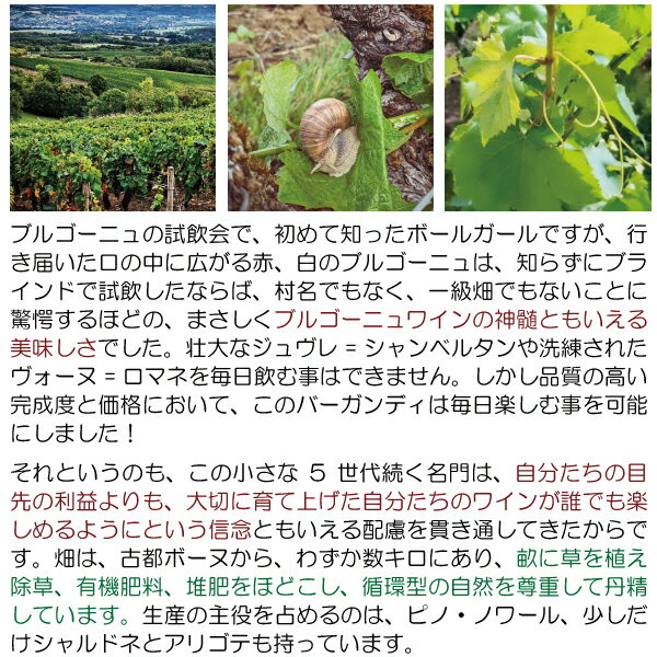 【ショップ・オブ・ザ・イヤー2022受賞店舗】【よりどり6本で送料無料】