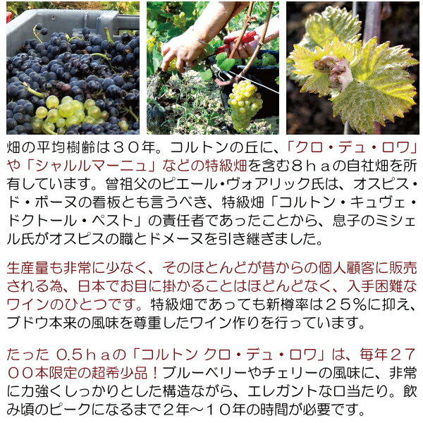 よりどり6本で送料無料[2022] ペルナン ヴェルジュレス ブラン 750ml ドメーヌ ミ...