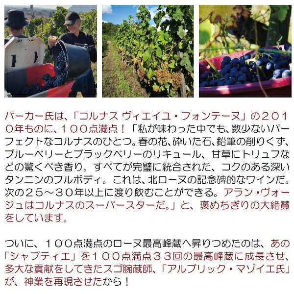 【ショップ・オブ・ザ・イヤー2022受賞店舗】【よりどり6本で送料無料】