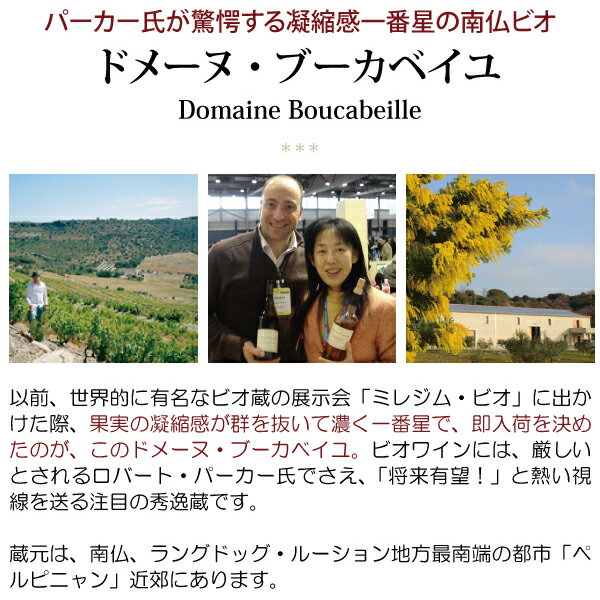 よりどり6本で送料無料[2016] コート デュ ルーション ヴィラージュ レ ゾリス BIO...