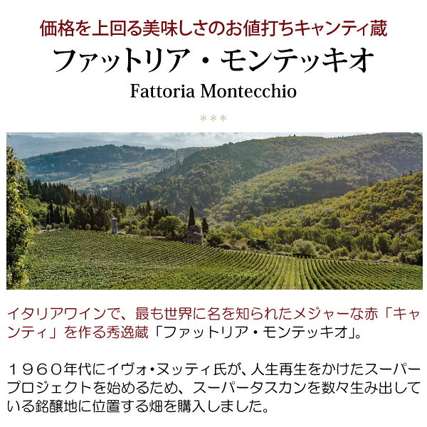 よりどり6本で送料無料[2020] キアンティ DOCG 750ml ファットリア モンテッキオ ...