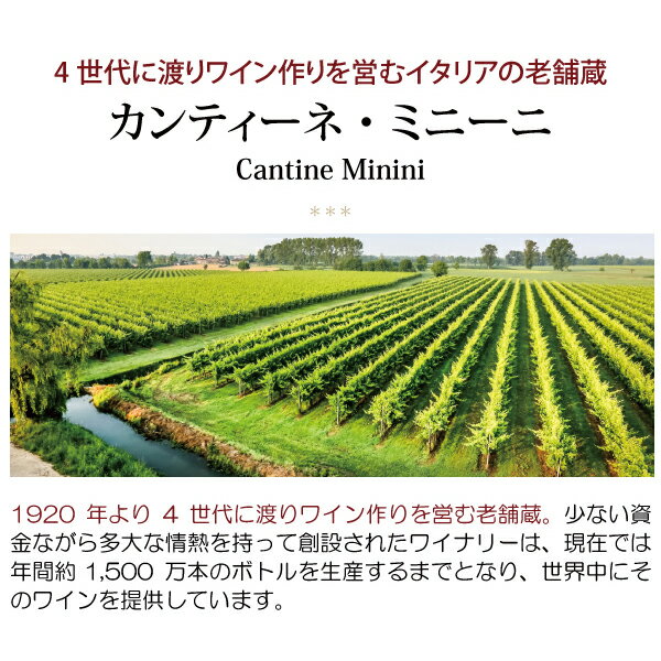 ザガリア ヴィーノ ロッソ 750ml カンティーネ　ミニーニ(ピエモンテ イタリア)赤...