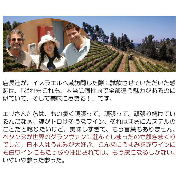 【ショップ・オブ・ザ・イヤー2022受賞店舗】【よりどり6本で送料無料】