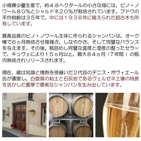 よりどり6本で送料無料シャンパン ブリュット ロゼ グラン クリュ 750ml ドニ ボヴィエール(シャンパン フランス シャンパーニュ)ロゼ泡 コク辛口 ワイン ^VABV12Z0^ veritas-10052461 ヴェリタス〜輸入直販ワイン専門店 サンプル画像3