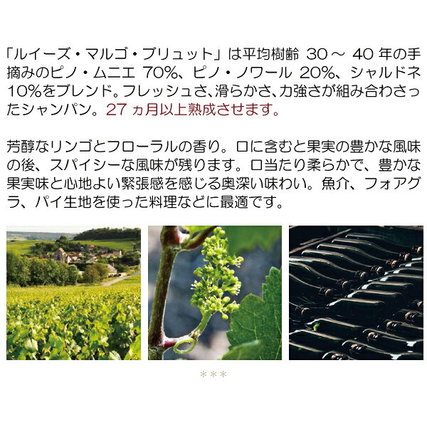 ルイーズ マルゴ ブリュット 750ml ルイーズ マルゴ(シャンパン フランス シャンパーニュ)白泡 コク辛口 ^VAGTBRZ0^ veritas-10058280 ヴェリタス〜輸入直販ワイン専門店 サンプル画像3