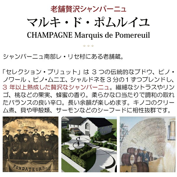 よりどり6本で送料無料セレクション ブリュット 750ml マルキ ド ポムルイユ(シャンパン フランス シャンパーニュ)白泡 コク辛口 ワイン ^VAPR06Z0^ veritas-10058141 ヴェリタス〜輸入直販ワイン専門店 サンプル画像2