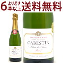 よりどり6本で送料無料カベスタン ブラン ド ブラン ブリュット ヴァン ムスー 750ml 白泡 コク辛口 ワイン ^VBCT02Z0^