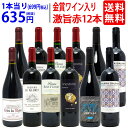 ワイン ワインセットワイン誌高評価蔵や金賞蔵ワインも入った激旨赤12本セット