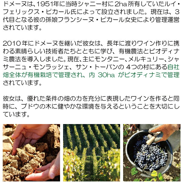 よりどり6本で送料無料[2020] ブルゴーニュ ルージュ ピノ ノワール 750ml ドメーヌ ヴォアリック(ブルゴーニュ フランス)赤ワイン コク辛口 ワイン WE ^B0VDBP20^ veritas-10062485 ヴェリタス〜輸入直販ワイン専門店 サンプル画像3