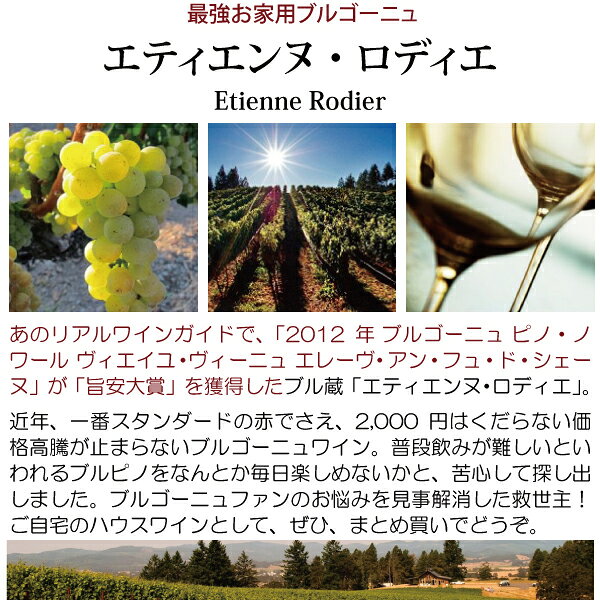 【アウトレット】よりどり6本で送料無料[2020] ブルゴーニュ シャルドネ ブラン 熟成ピークの為 750ml エティエンヌ ロディエ (ブルゴーニュ フランス)白ワイン コク辛口 ワイン ^B0TRCH20^ veritas-10011639 ヴェリタス〜輸入直販ワイン専門店 サンプル画像2