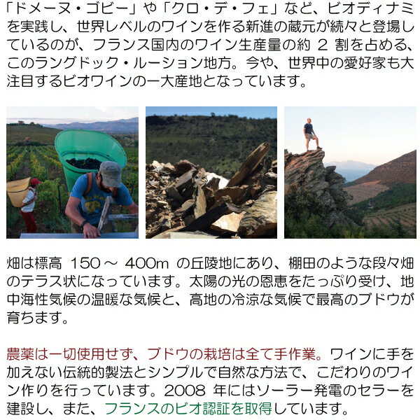 ���ɤ�6�ܤ�����̵��[2024] ������ �ǥ� �롼����� �� �ƥ饹 �֥�� BIO 750ml �쥸�� �֡����٥���/�ɥ᡼�� �֡����٥���(��ʩ �ե��)��磻�� �����ɸ� ^D0BBTB24^