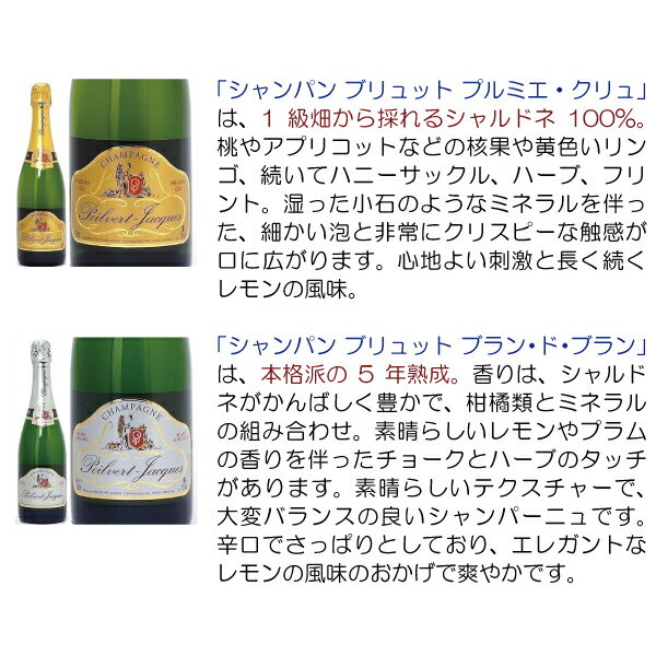 【ショップ・オブ・ザ・イヤー2022受賞店舗】【よりどり6本で送料無料】