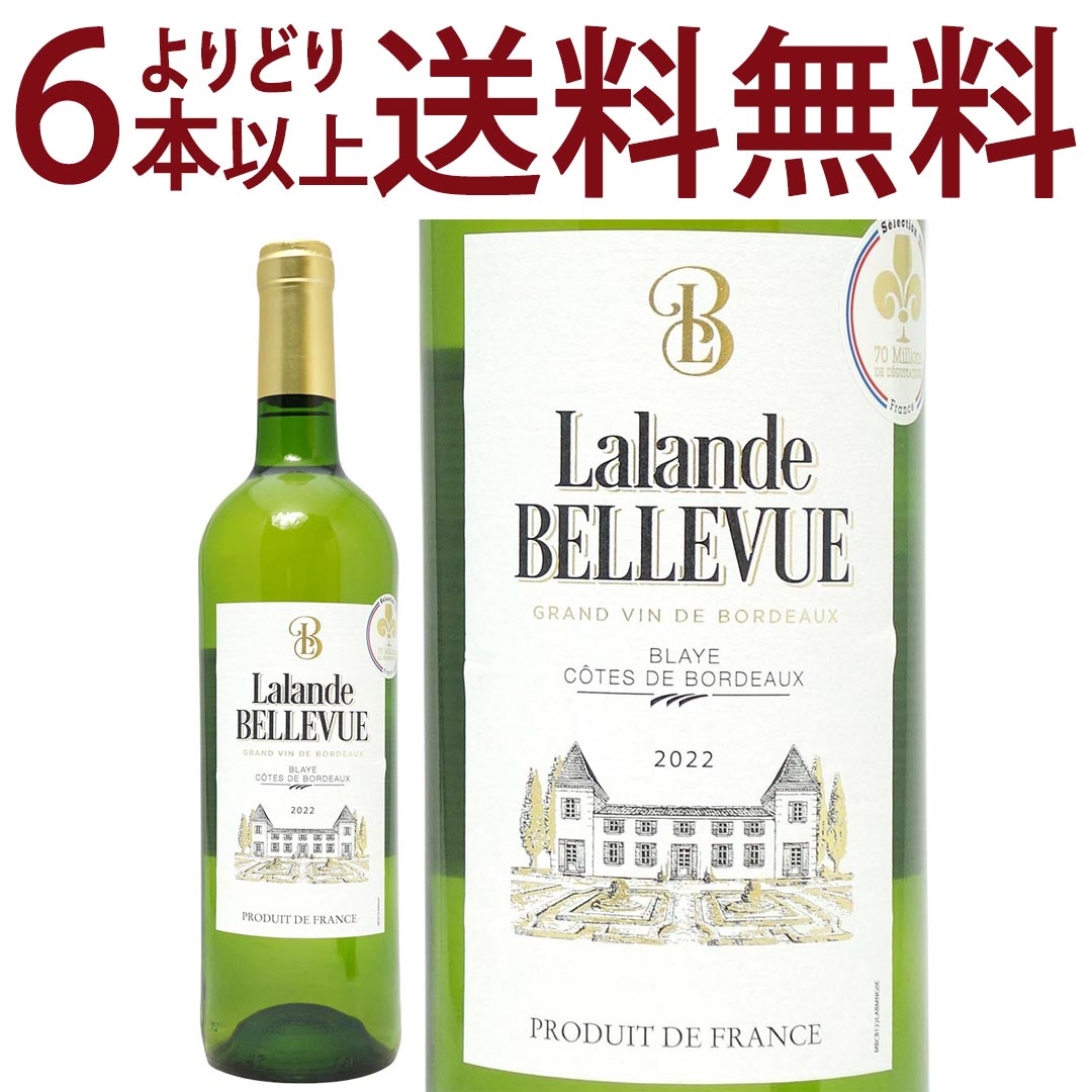 ���ɤ�6�ܤ�����̵��[2022] ����� �٥���塼 ���������˥�� �֥�� 750ml (�֥饤 ������ �� �ܥ�ɡ�)��磻�� �����ɸ� �磻�� ^AN...