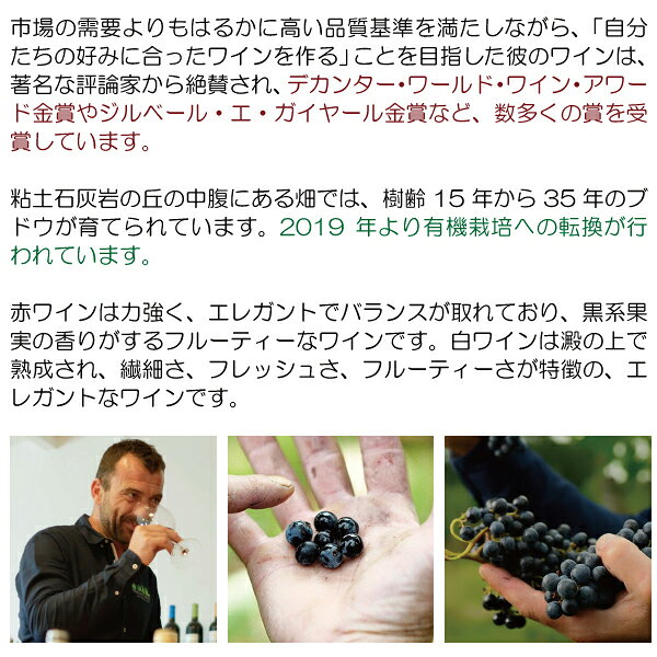 [2023] シャトー カンデレー ルージュ 750ml (AOCボルドー ボルドー フランス)赤ワイン コク辛口 ワイン ^AOKC0123^ veritas-10063573 ヴェリタス〜輸入直販ワイン専門店 サンプル画像3