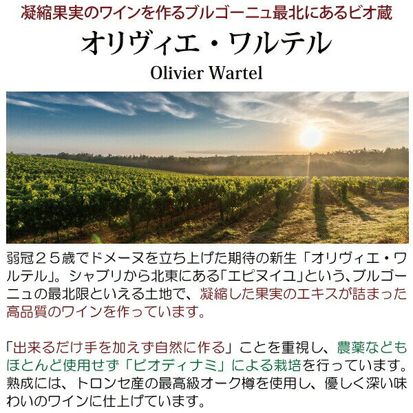 よりどり6本で送料無料[2022] ブルゴーニュ エピヌイユ ピノ ノワール 750ml オリヴィエ ワルテル(ブルゴーニュ フランス)赤ワイン コク辛口 ワイン ^B0OWEP22^ veritas-10011640 ヴェリタス〜輸入直販ワイン専門店 サンプル画像2