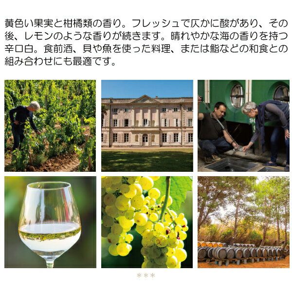 【ショップ・オブ・ザ・イヤー2022受賞店舗】【よりどり6本で送料無料】