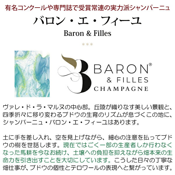 よりどり6本で送料無料金賞 ベル デ ヴァレー ブリュット 750ml バロン エ フィーユ(シャンパン フランス シャンパーニュ)白泡 コク辛口 ワイン ギフト gift ^VABF01Z0^ veritas-10063394 ヴェリタス〜輸入直販ワイン専門店 サンプル画像2