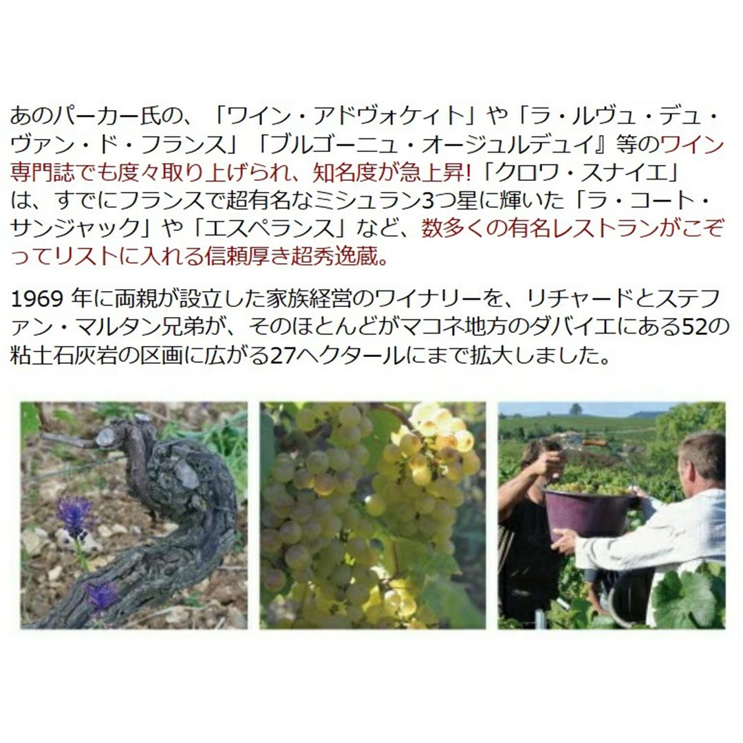 よりどり6本で送料無料[2023] サン ヴェラン ブラン アン ポマール BIO 750ml ドメーヌ ド ラ クロワ スナイエ(ブルゴーニュ フランス)白ワイン コク辛口 ワイン ^B0SLSP23^ veritas-10055313 ヴェリタス〜輸入直販ワイン専門店 サンプル画像3